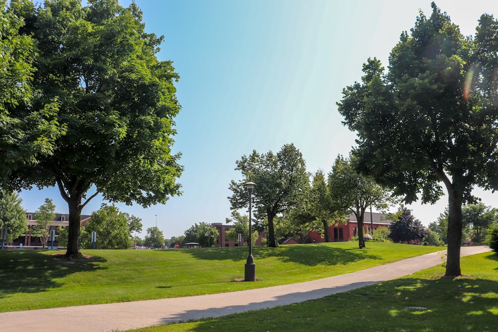 a path in a park with trees and a building in the background