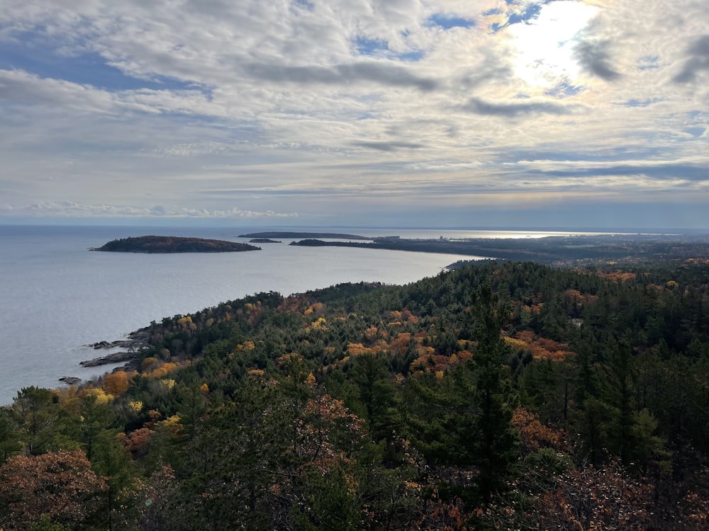 una vista panoramica su un lago circondato da alberi