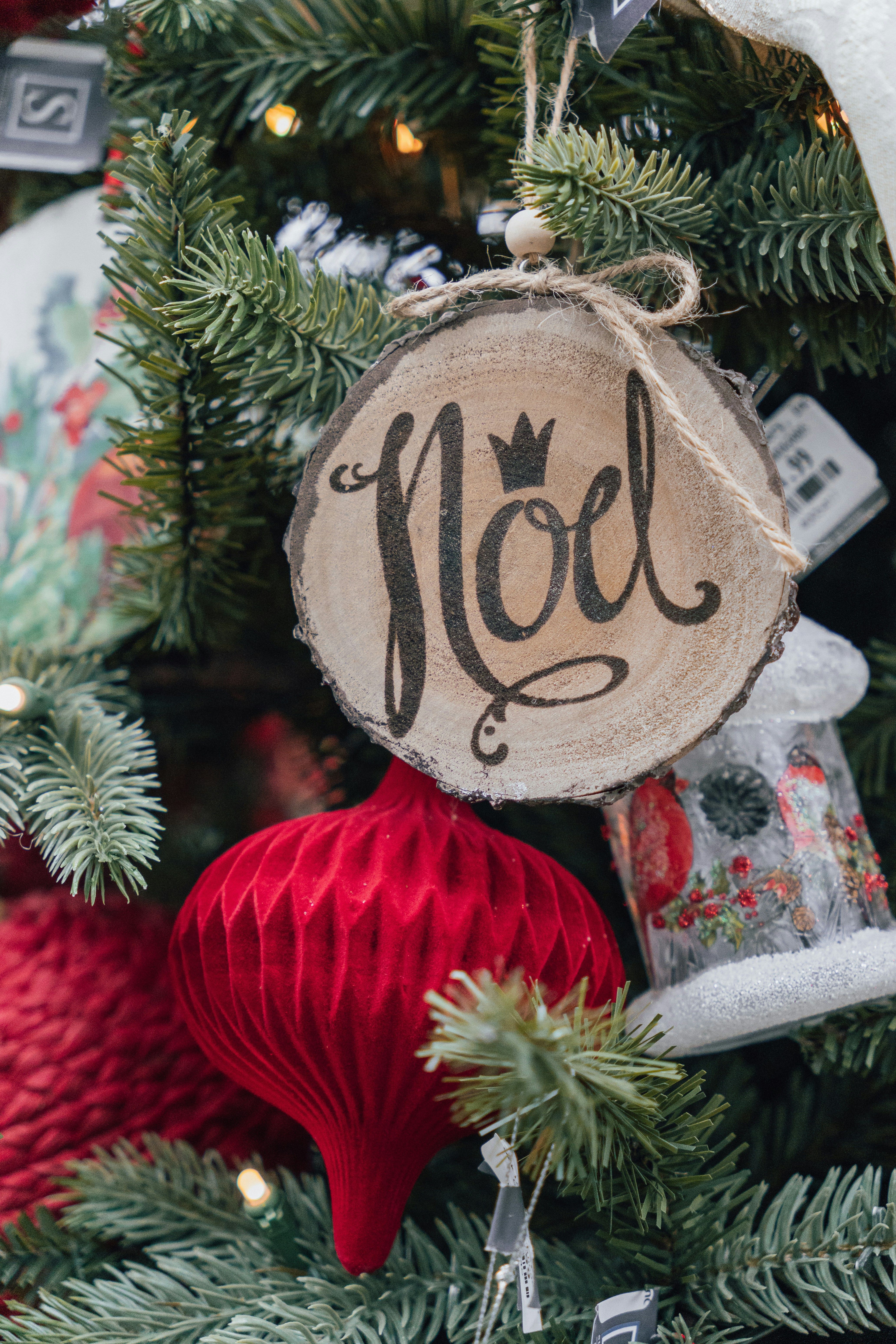 Photo by millerxmason