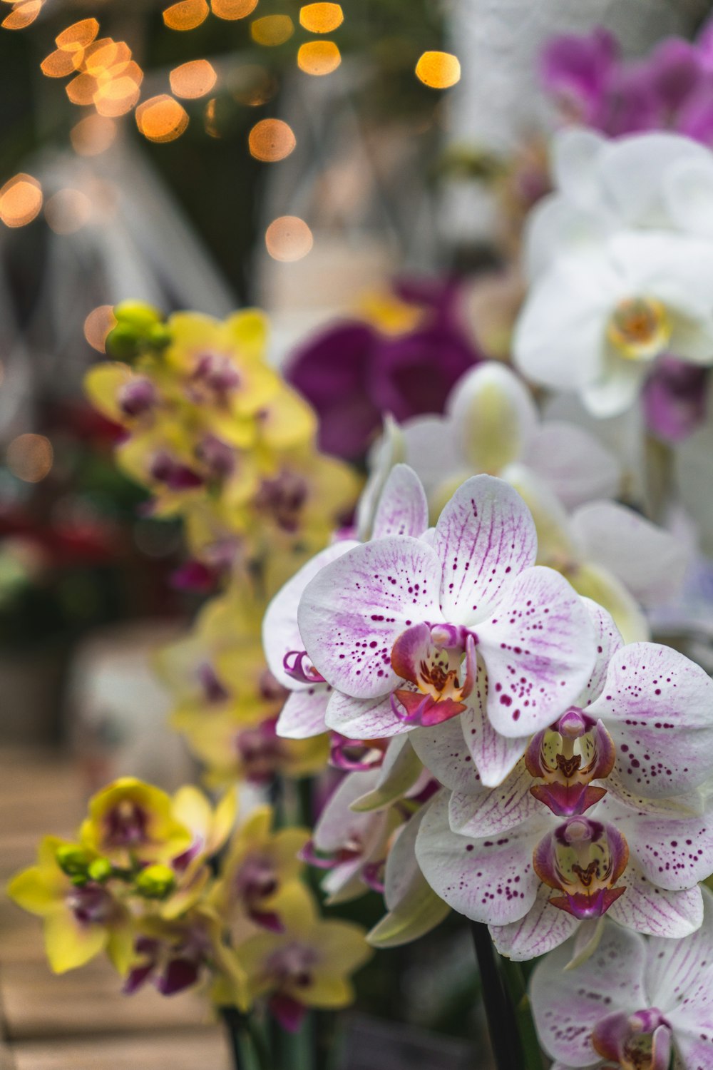 ein Blumenstrauß, der sich in einer Vase befindet