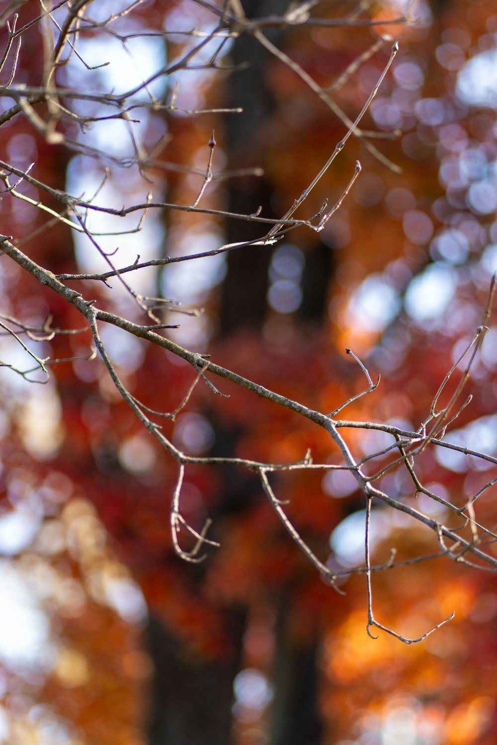 a bird is perched on a tree branch