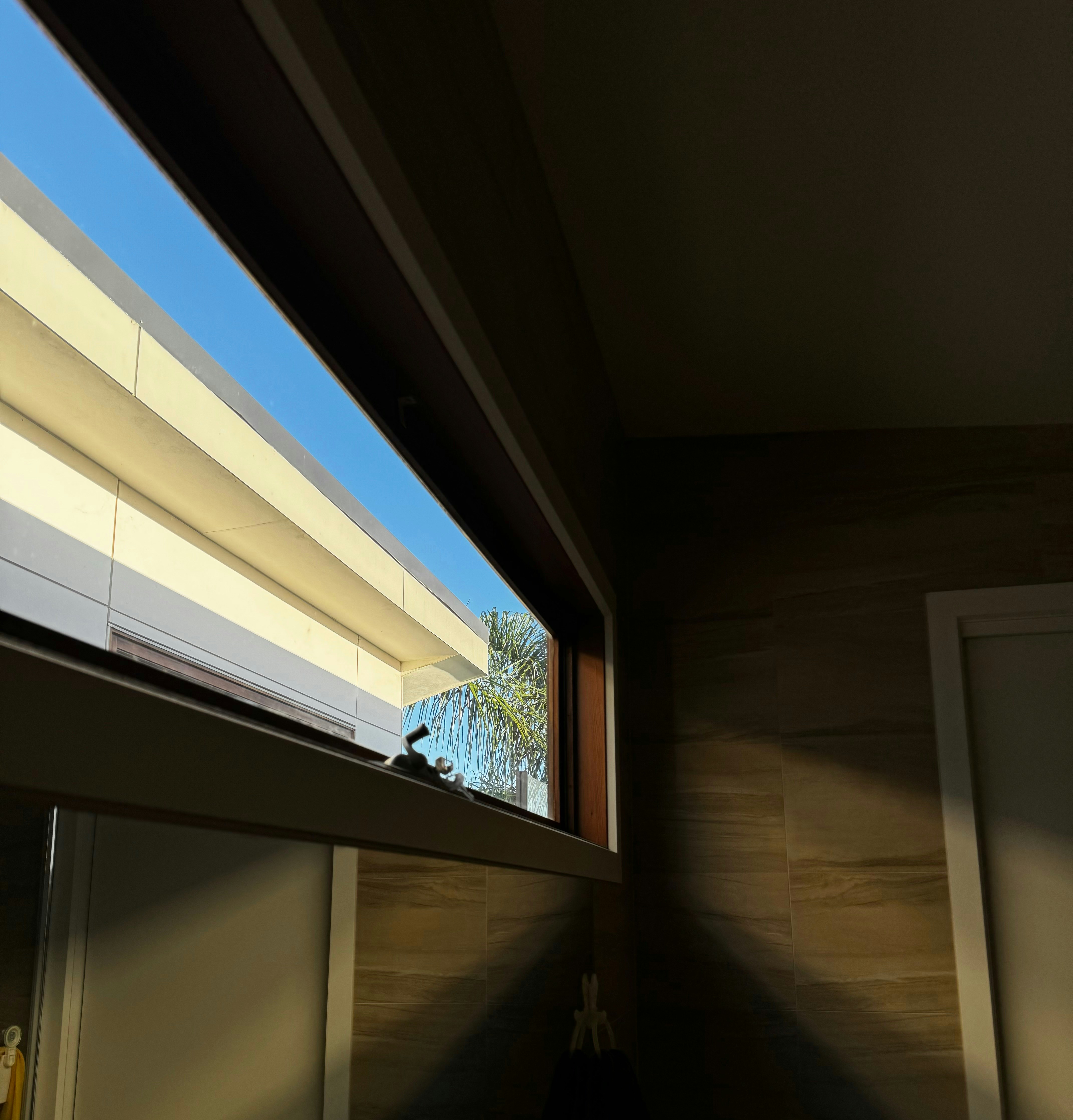 a cat sitting on a ledge looking out a window