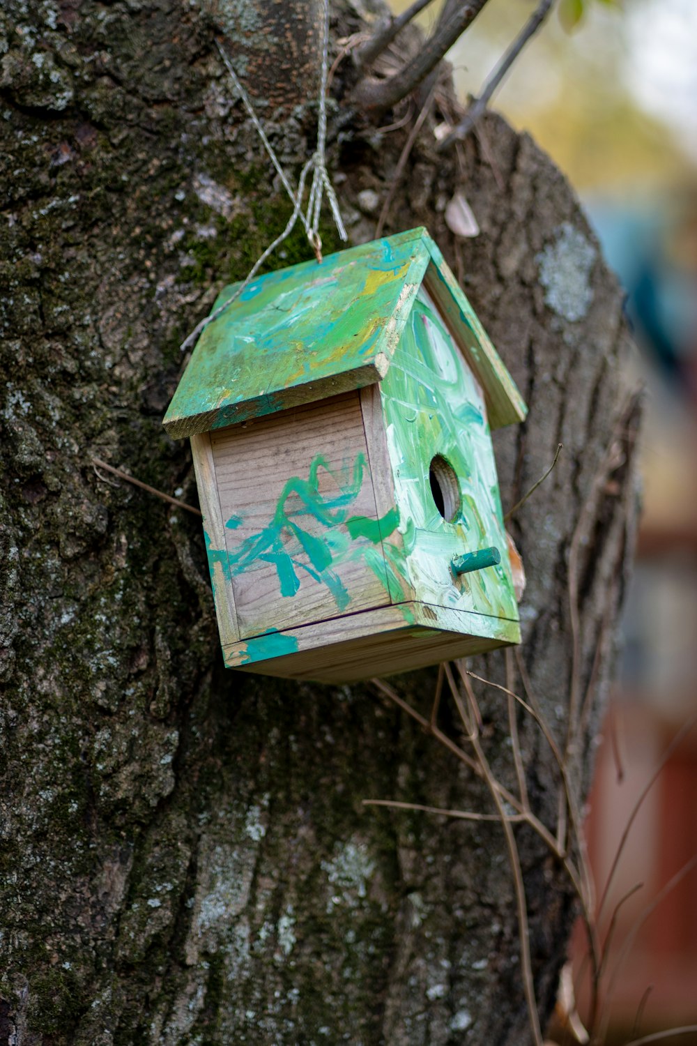 a birdhouse hanging from a tree with graffiti on it