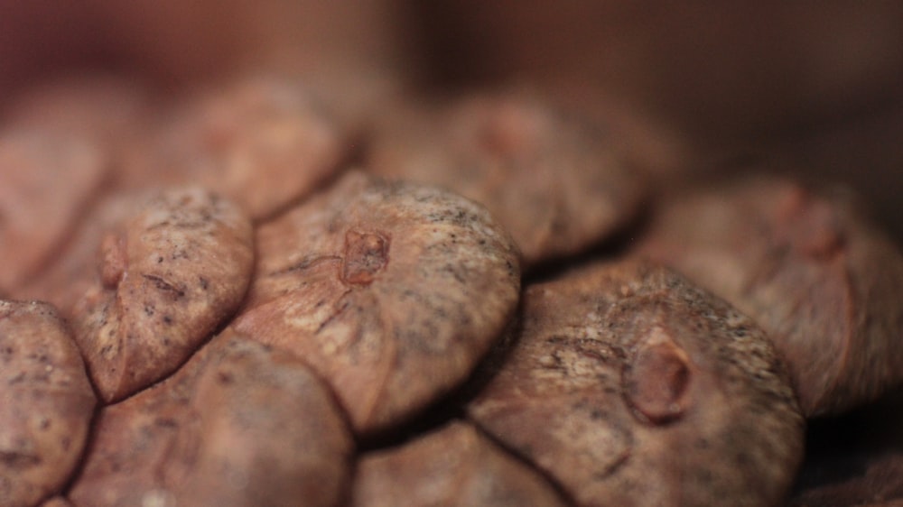 a pile of potatoes sitting on top of a table