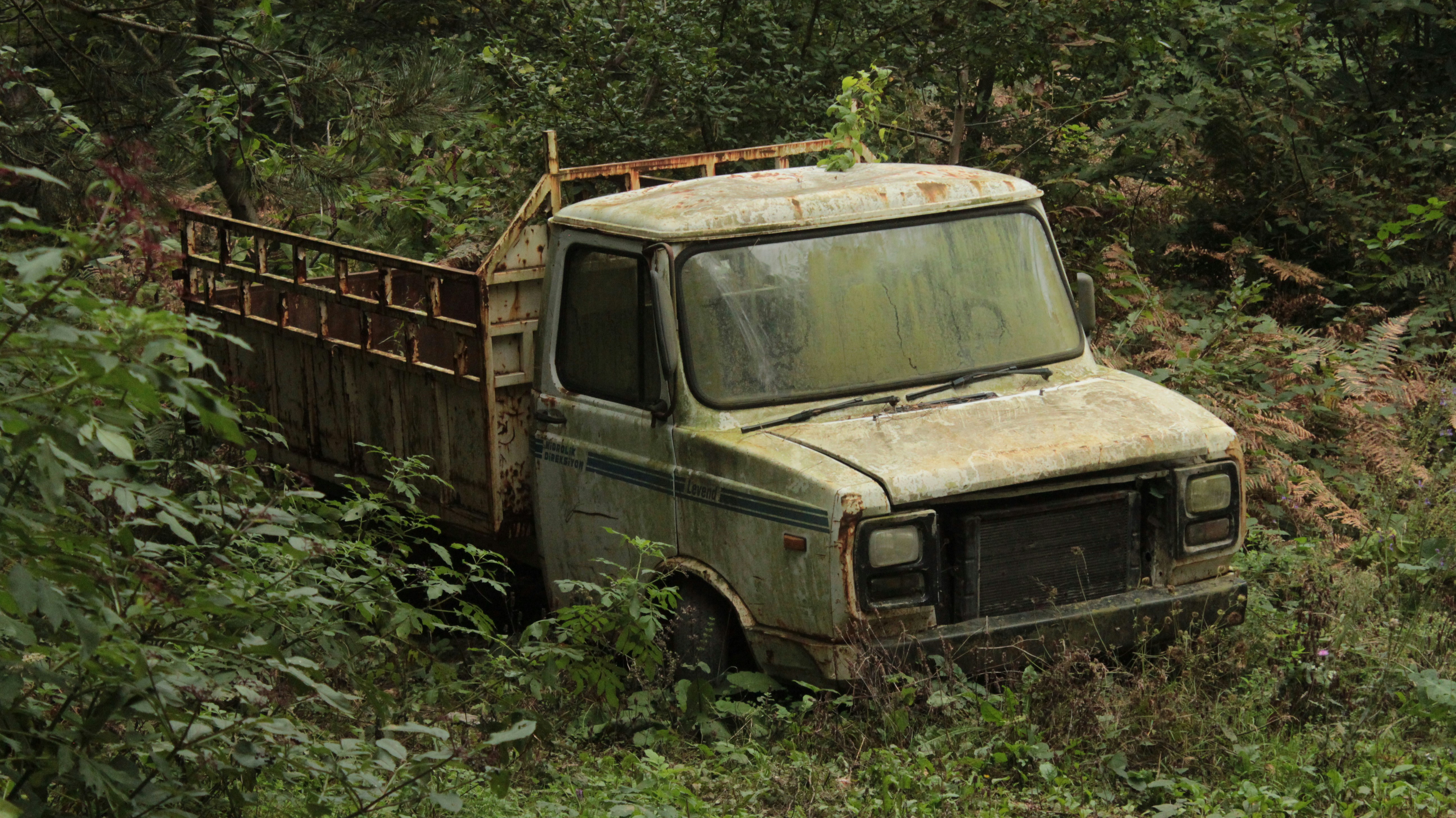 Wreck of an old truck