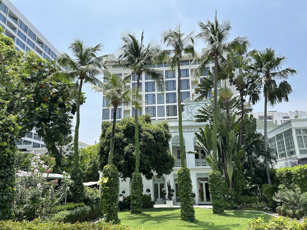 a large white building surrounded by palm trees