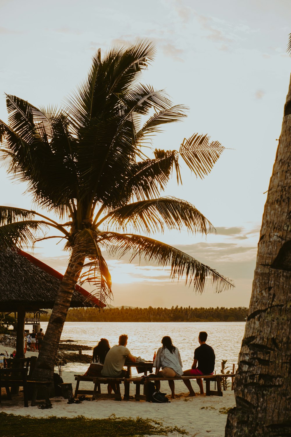 a group of people sitting on a bench under a palm tree