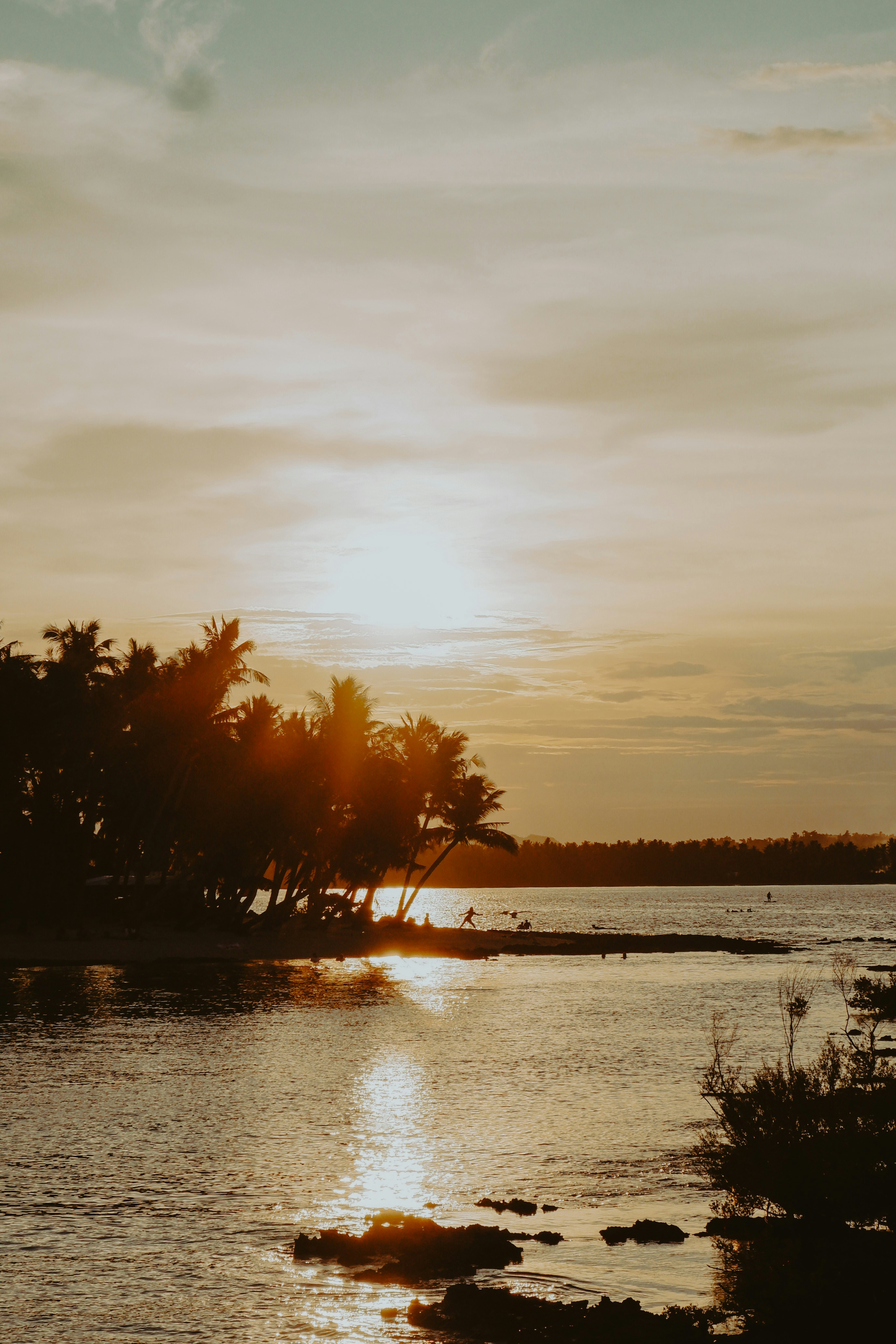 Photo by harveyenrile