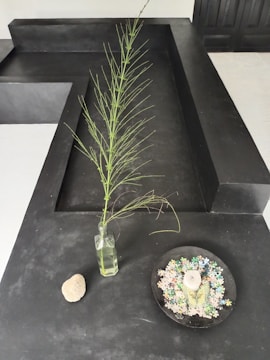 A minimalist setup featuring a tall glass bottle with a slender, leafy branch. Next to the bottle, a stone and a small black bowl containing puzzle pieces are placed. The environment is predominantly monochromatic with sleek surfaces.