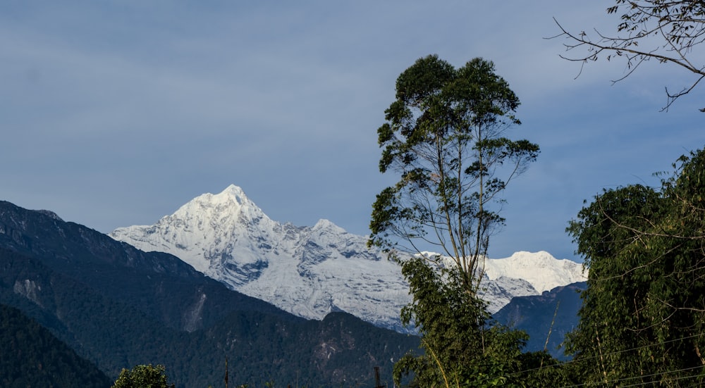 a view of a mountain range with trees in the foreground