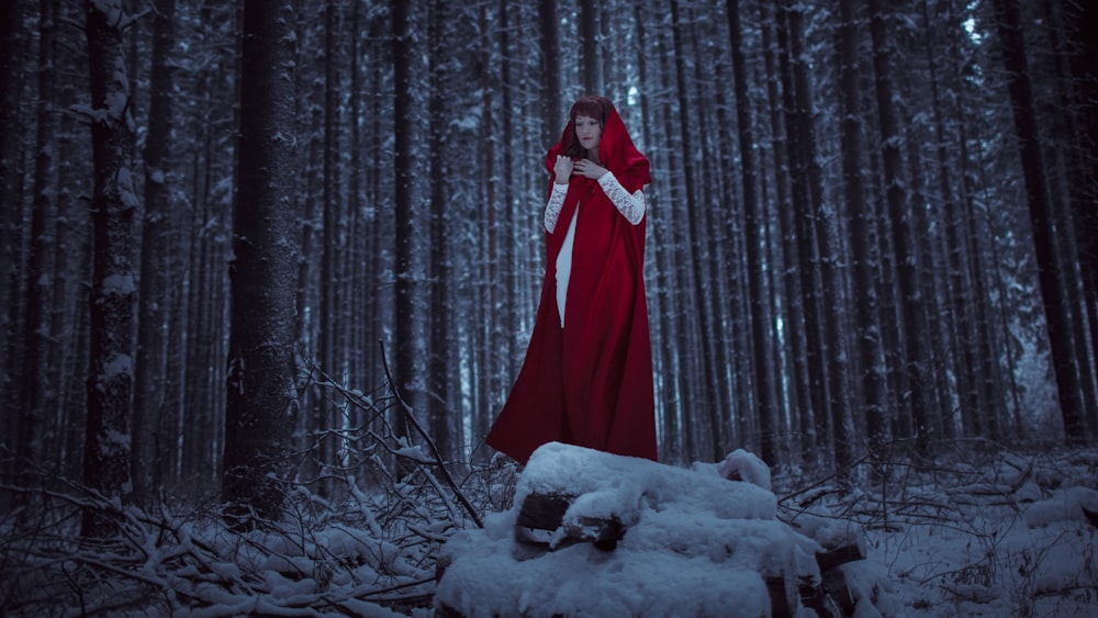 a woman in a red cloak standing in a snowy forest