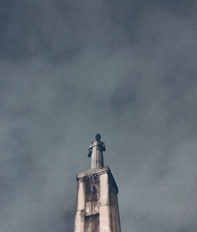 A vigilant sentinel standing watch over a stormy sea of financial data, representing protection and guidance.