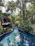 A peaceful view of the villa’s natural cenote pool framed by tropical greenery under soft sunlight.