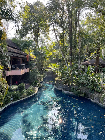 Sunlight filtering through lush tropical gardens surrounding the villa’s serene natural cenote pool.