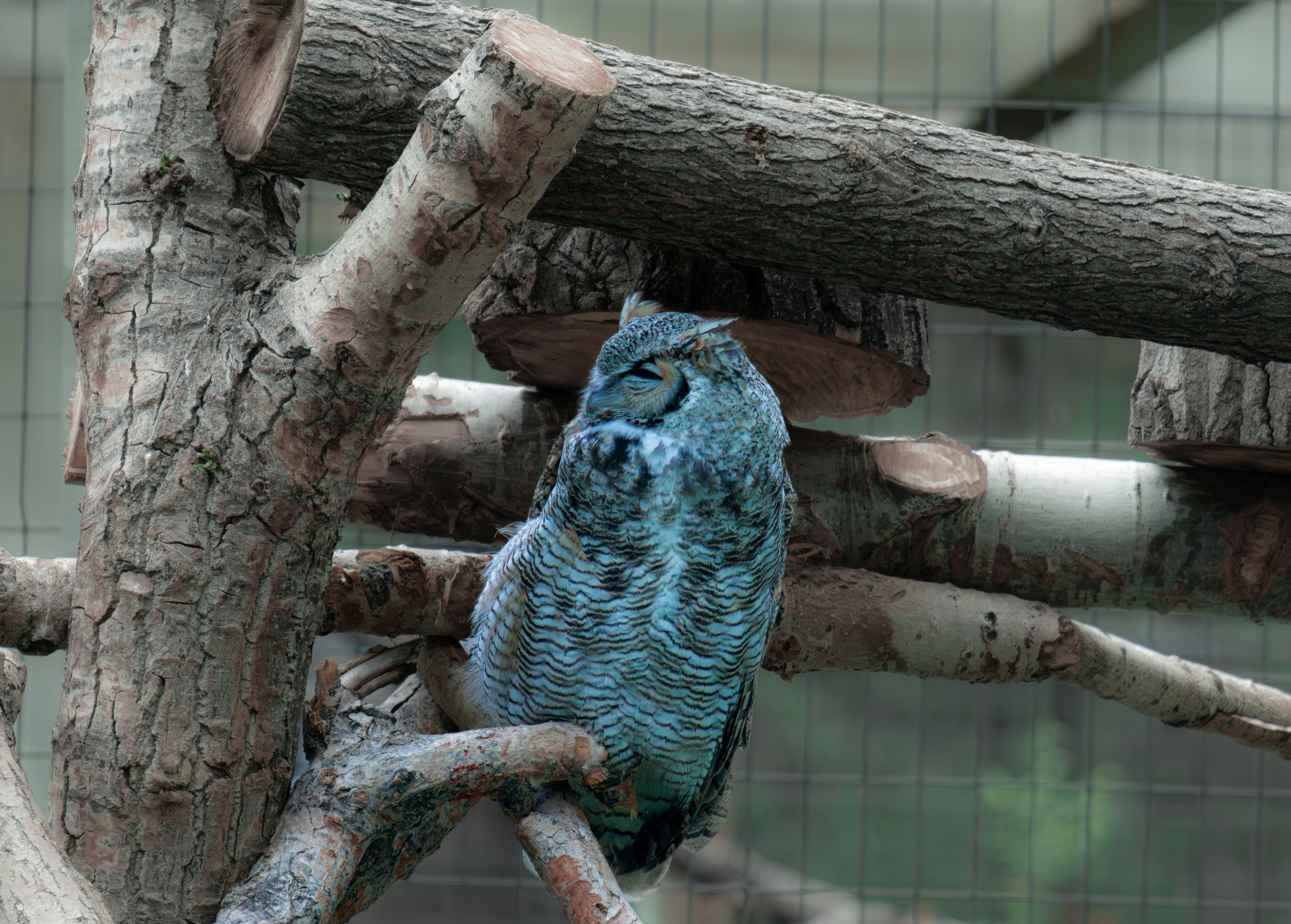 Photo by tomatopictures1