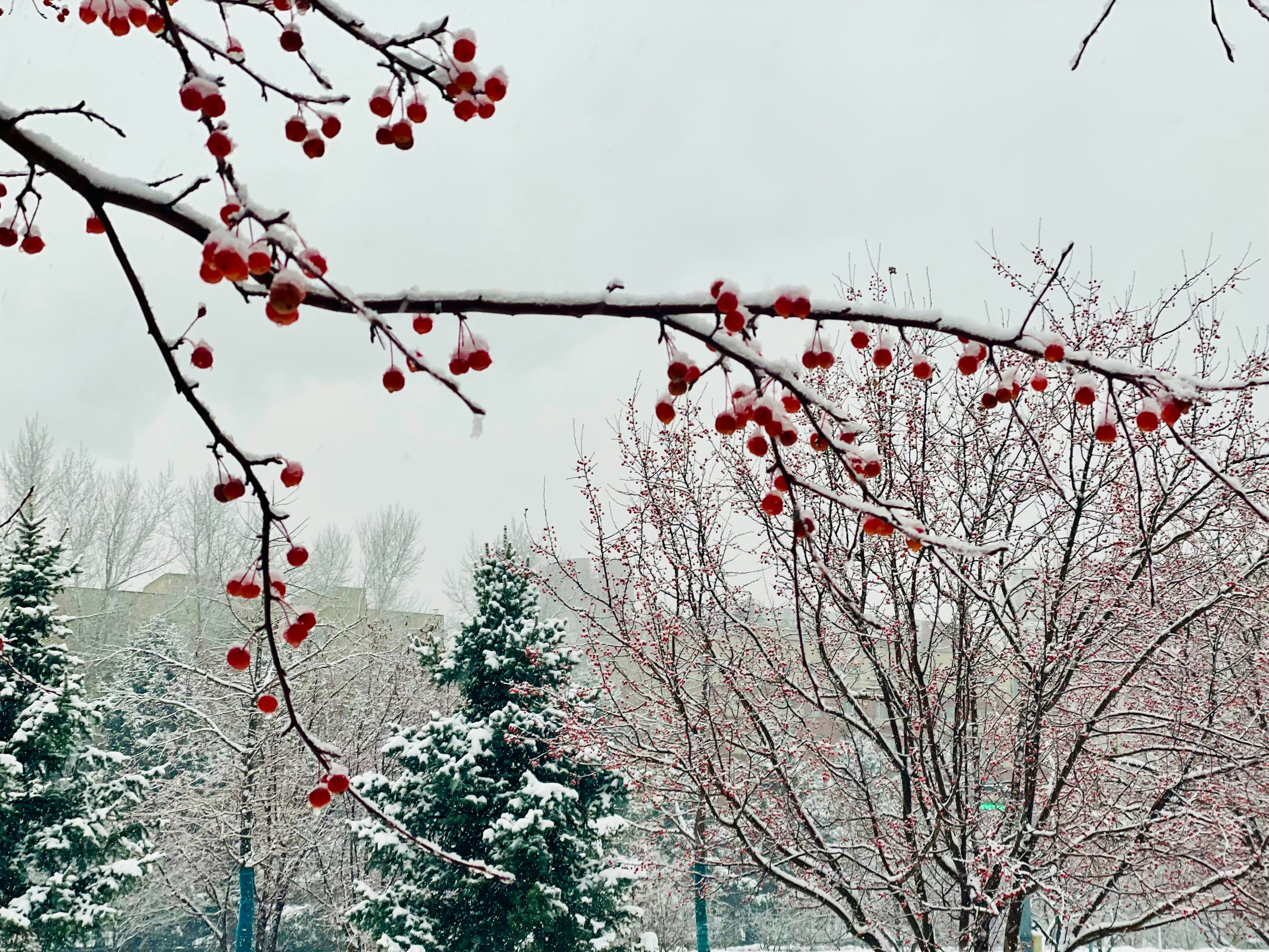 Photo by jiahaoliang