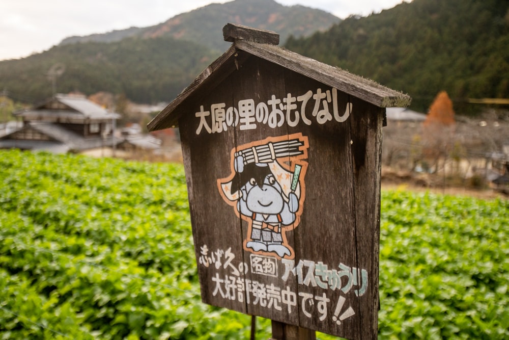 a wooden sign in a field with a mountain in the background