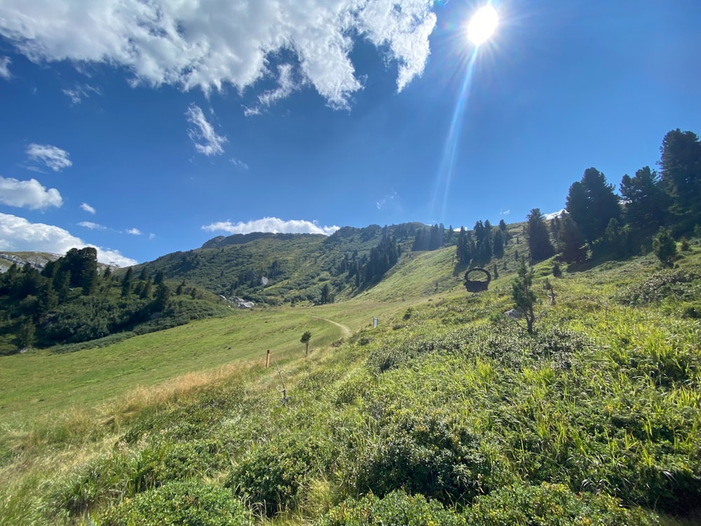 the sun shines brightly on a lush green hillside