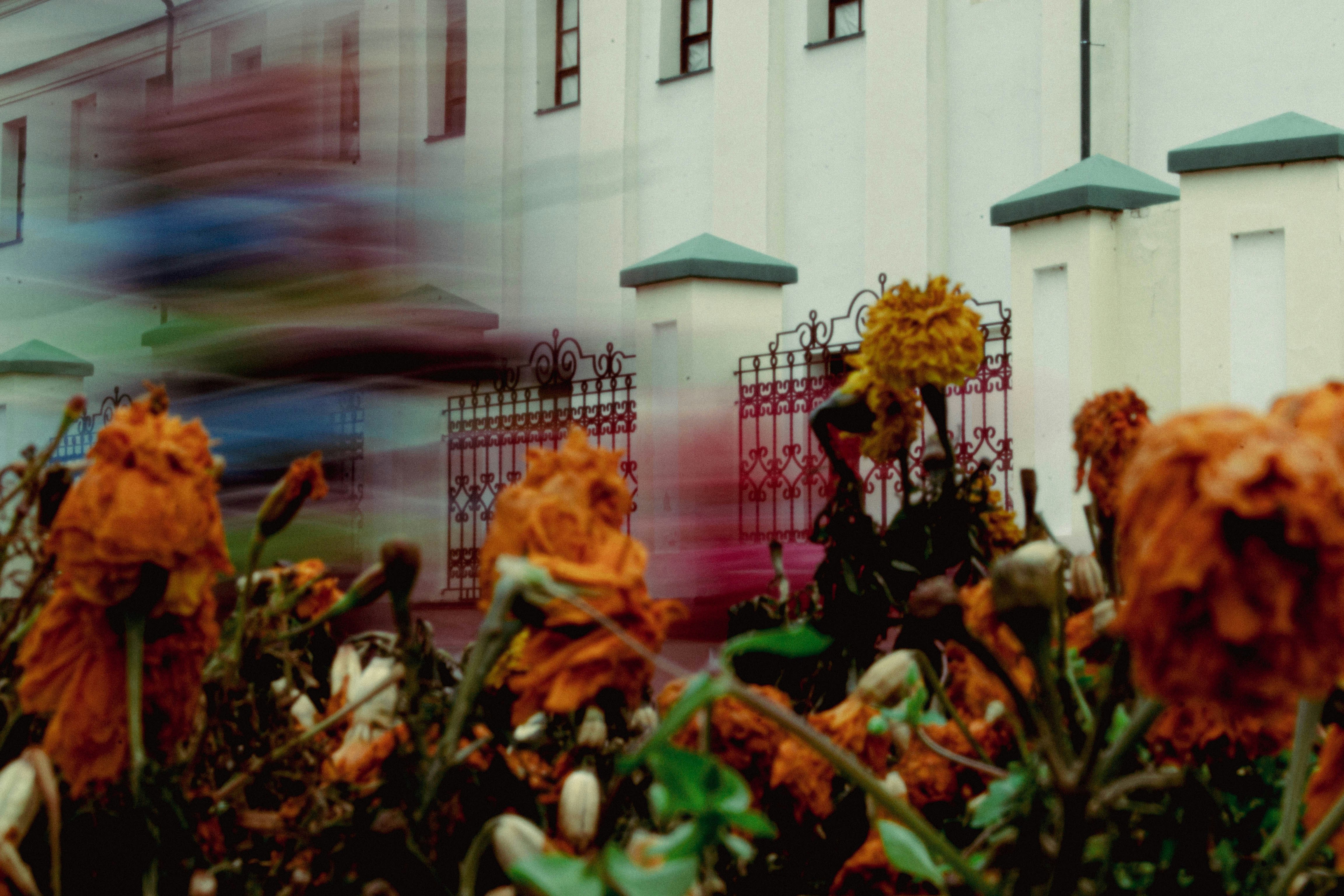 Bauman Street photo 3