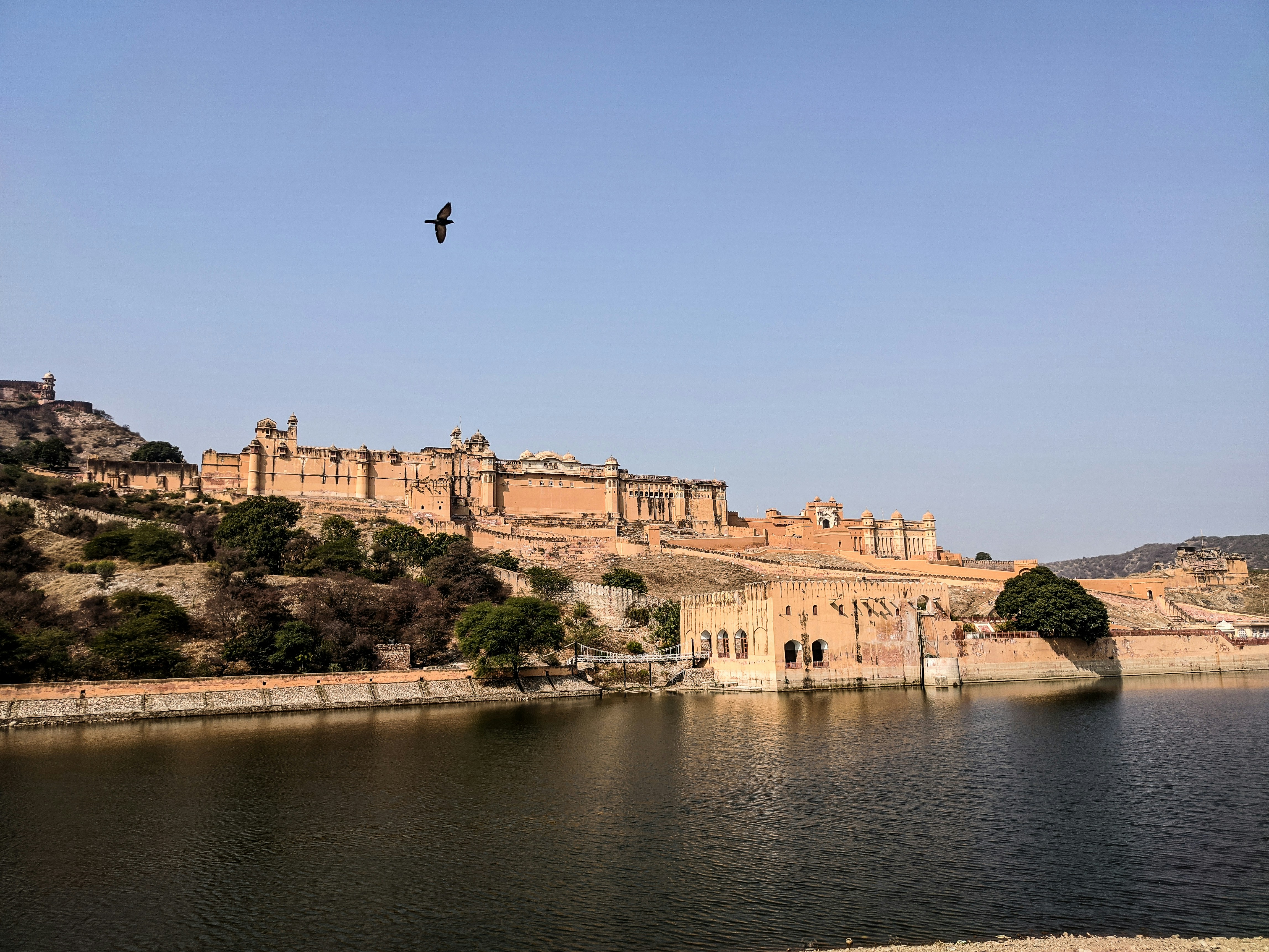 Photo by lohith_kolla