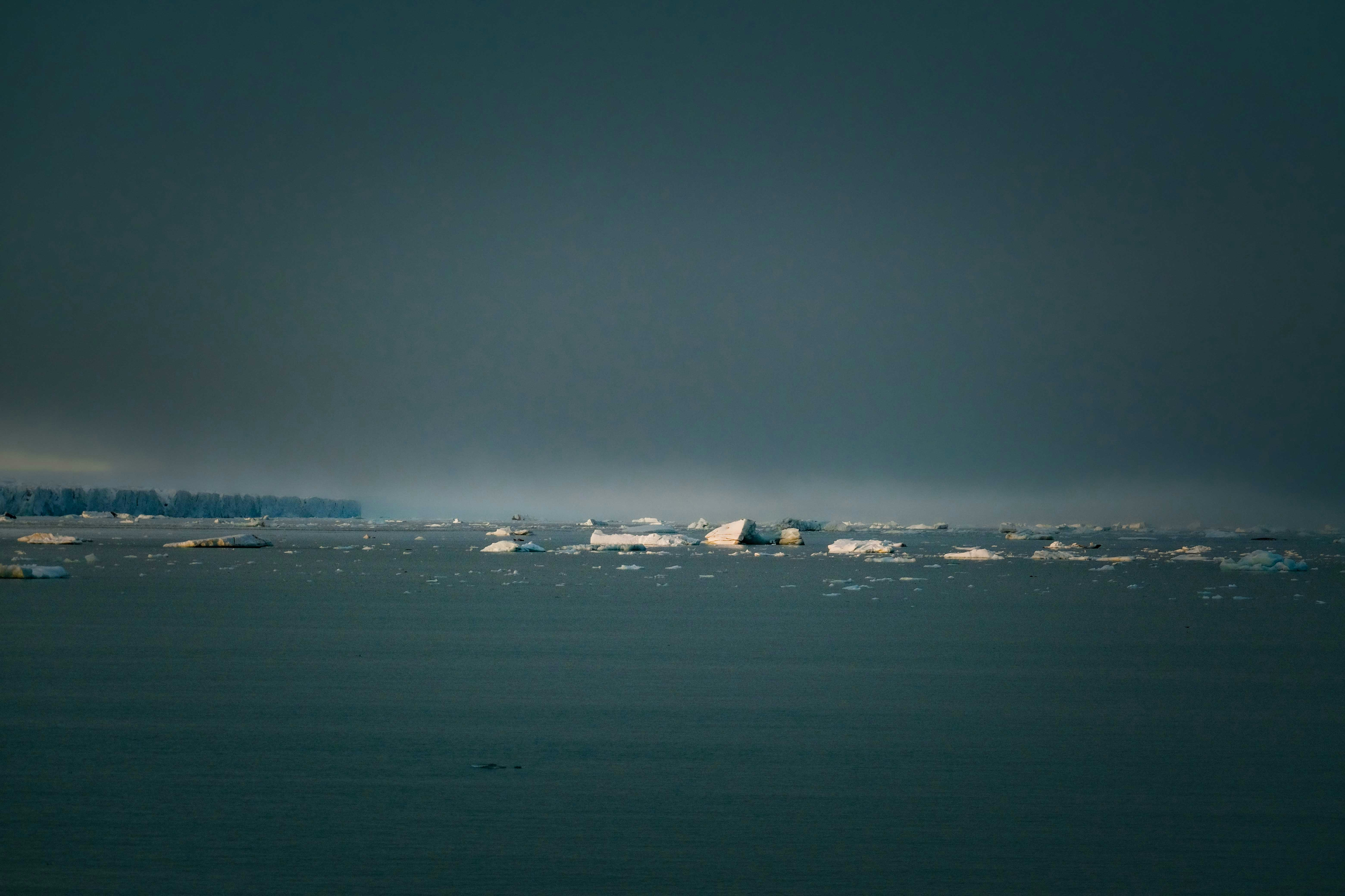 Photo by francesco_ungaro