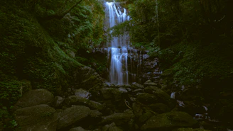 Cascading water over mossy rocks surrounded by lush green forest at Bhalu Gaad Waterfall.