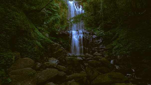 A cascading waterfall surrounded by moss-covered rocks and towering trees in a quiet forest.