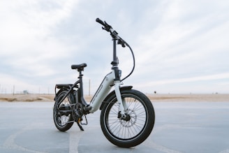 A sleek, modern electric bike stands on a paved surface with a vast, open background. The bike has a sturdy frame, large tires, and is equipped with a suspension fork. The brand name is visible on the frame, and the bike seems ready for both urban and off-road adventures.