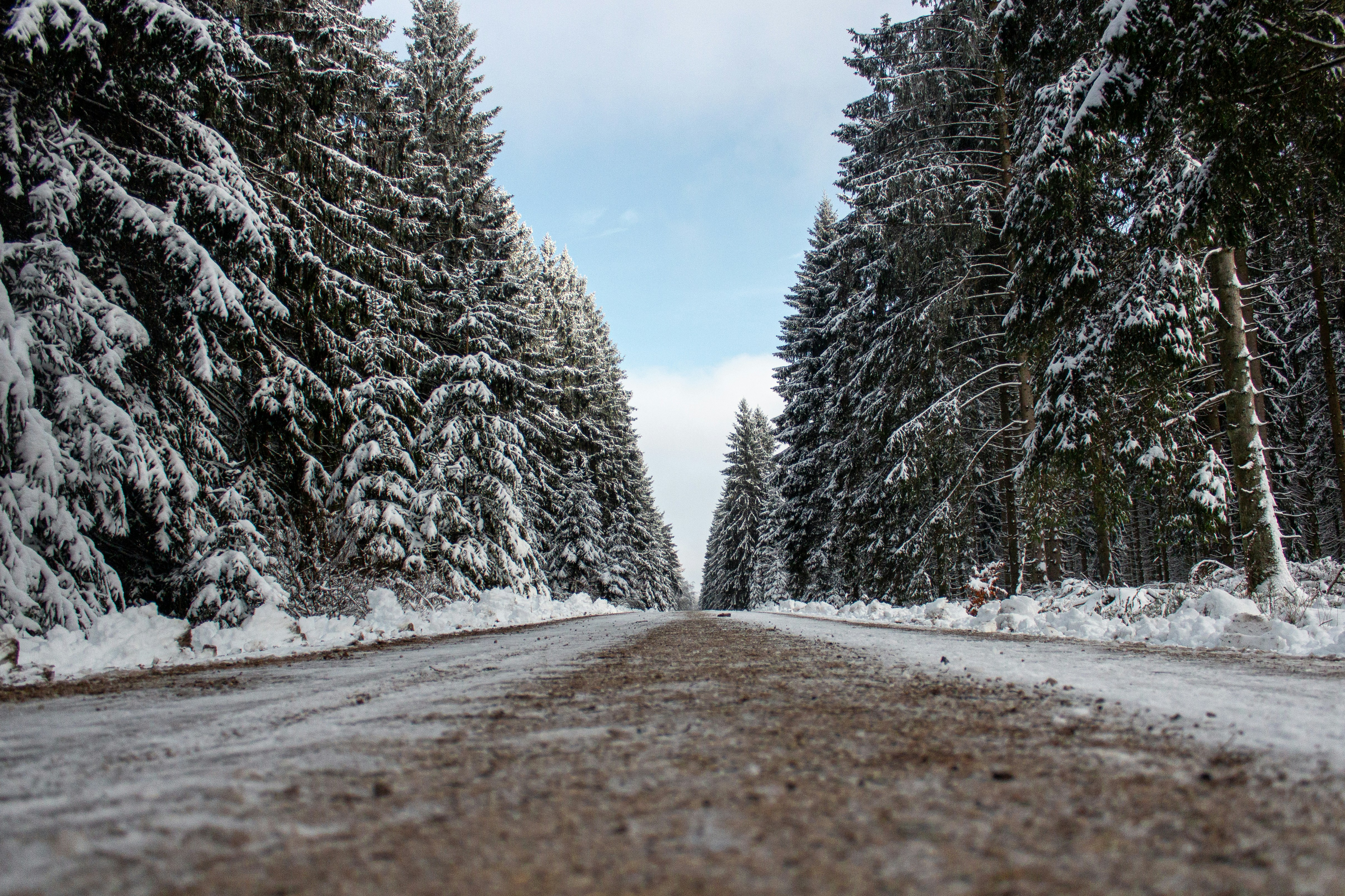 Photo by freddyfromcgn