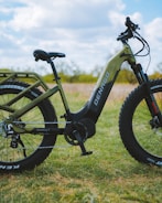 A green and black electric bicycle with thick tires is parked on a grassy area. The bike has the brand name 'DENAGO' on the frame. The surrounding area is a field with blurred green foliage and a cloudy sky in the background.
