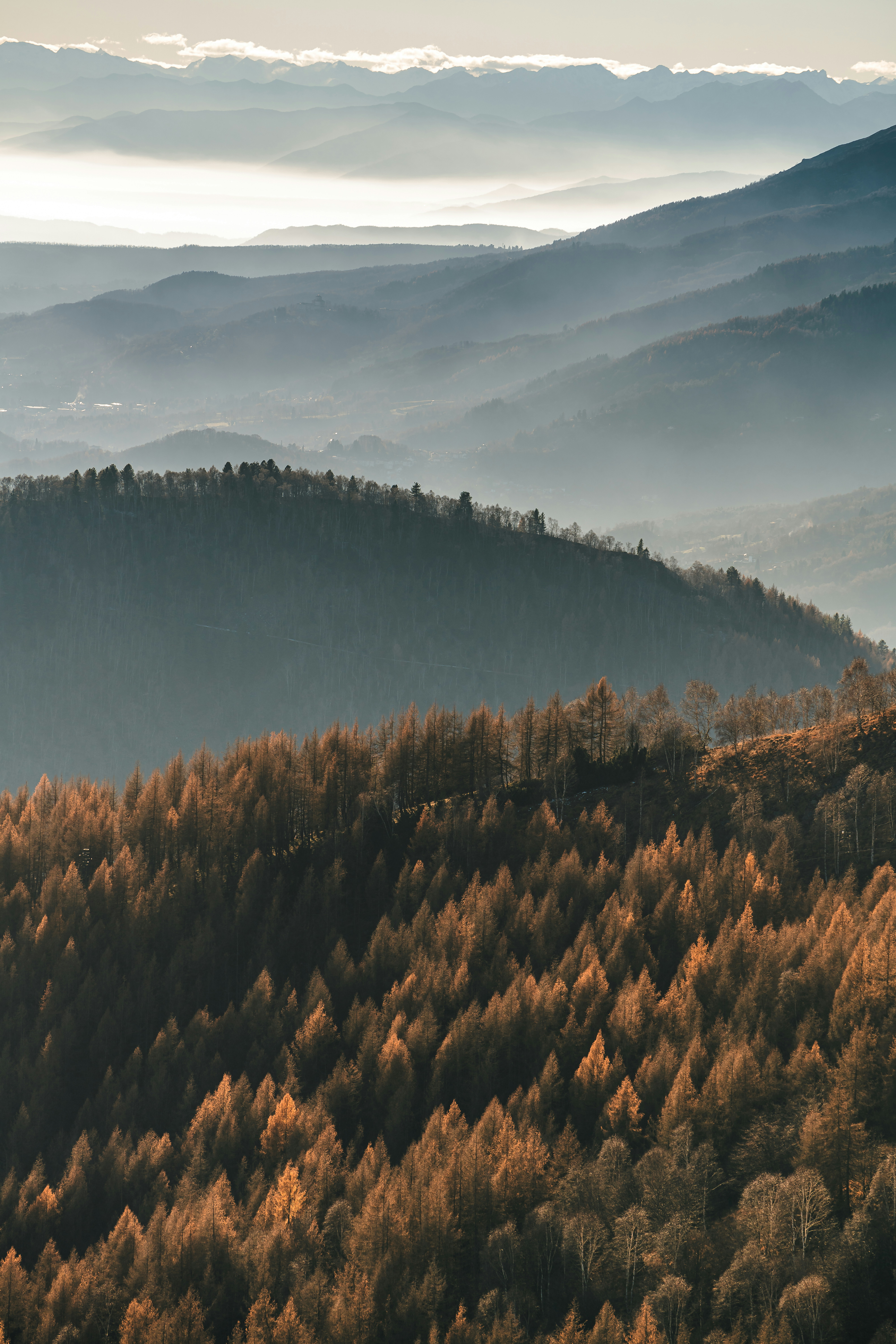 a view of a mountain range with trees in the foreground