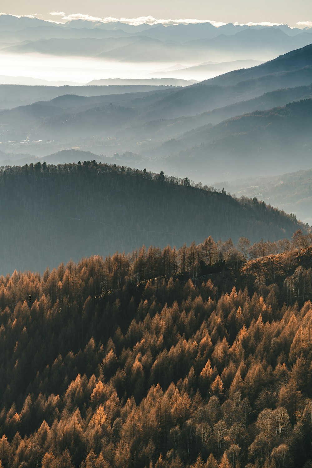 a view of a mountain range with trees in the foreground