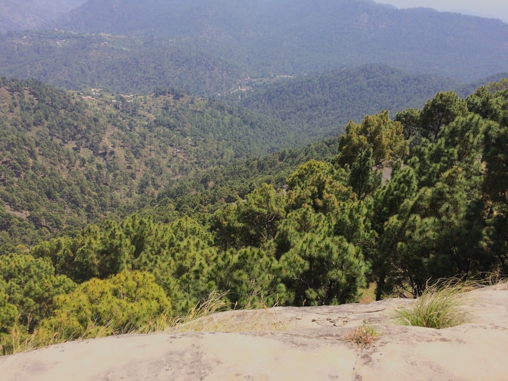 a view of the mountains and trees from the top of a hill