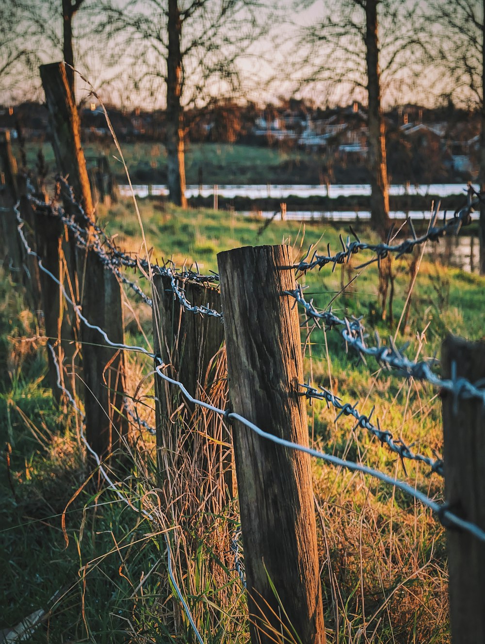 a barbed wire fence in a grassy field