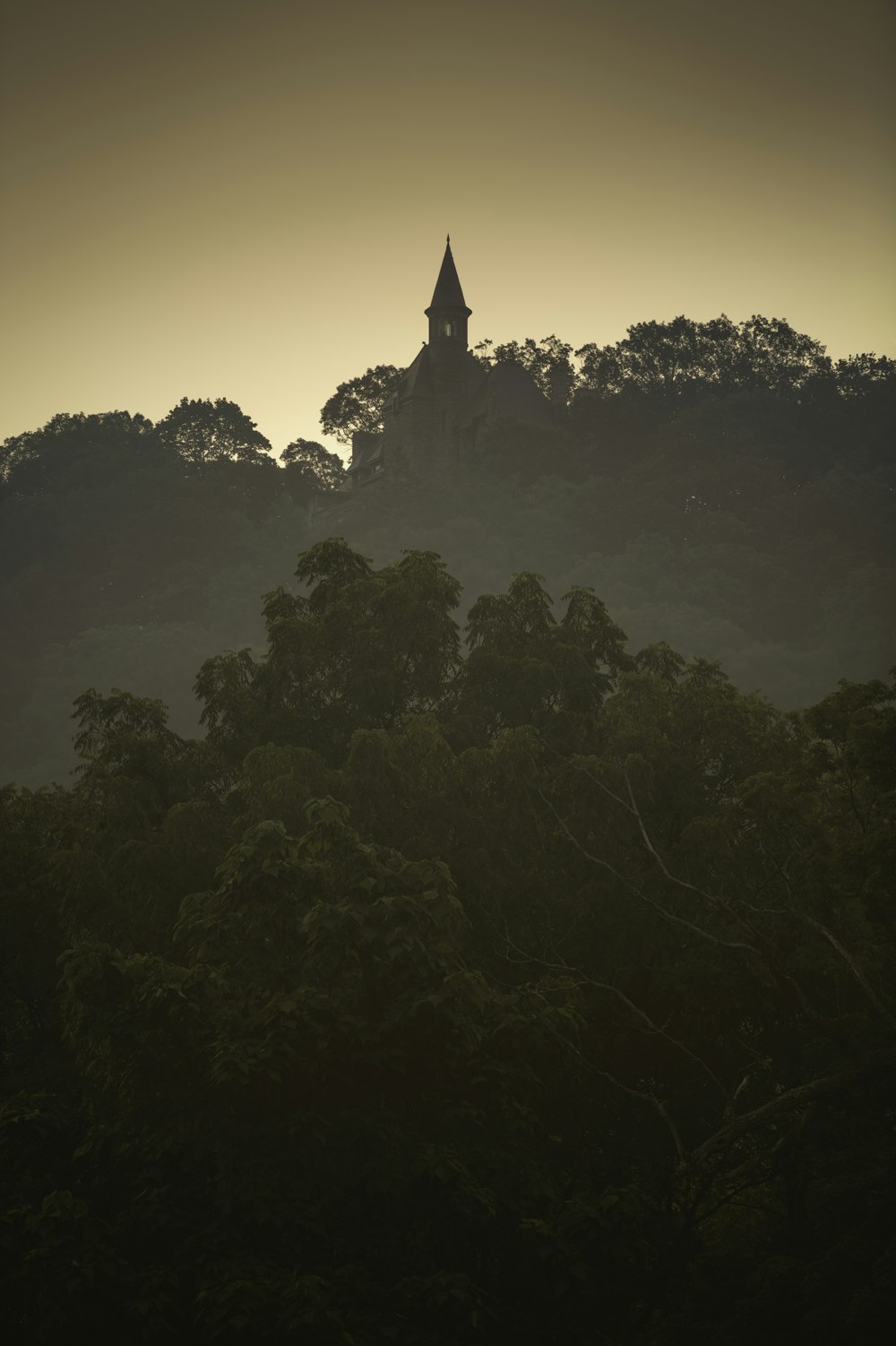 a clock tower on top of a hill surrounded by trees