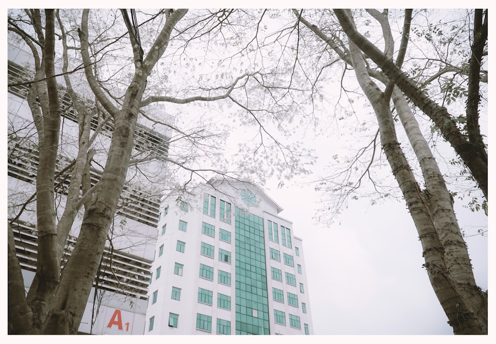 a tall white building sitting next to a forest of trees