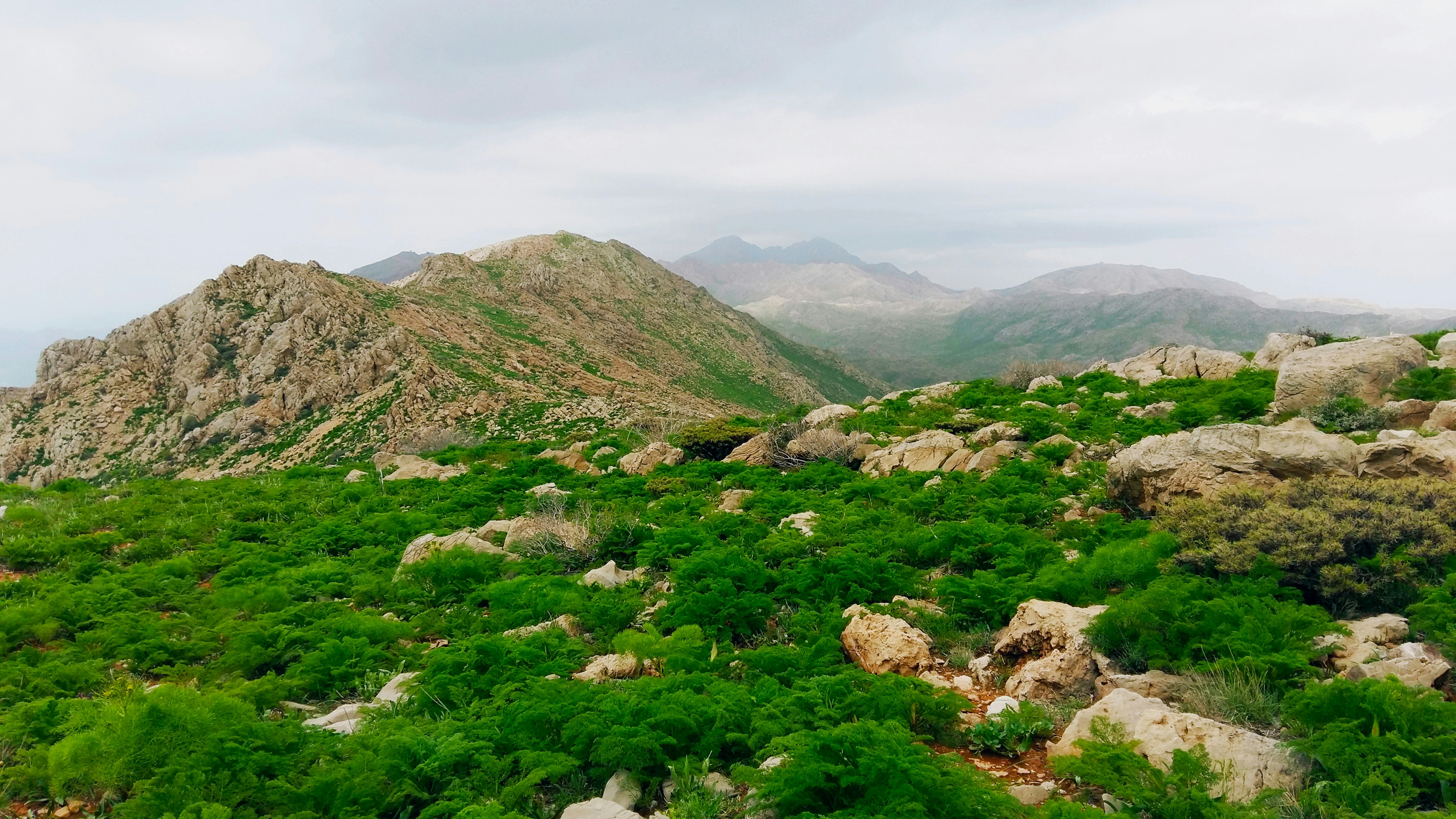 Photo by rashedpaykary