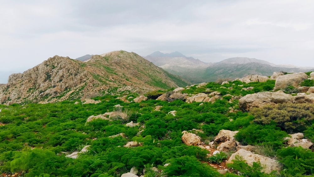 a view of a mountain range from a high point of view