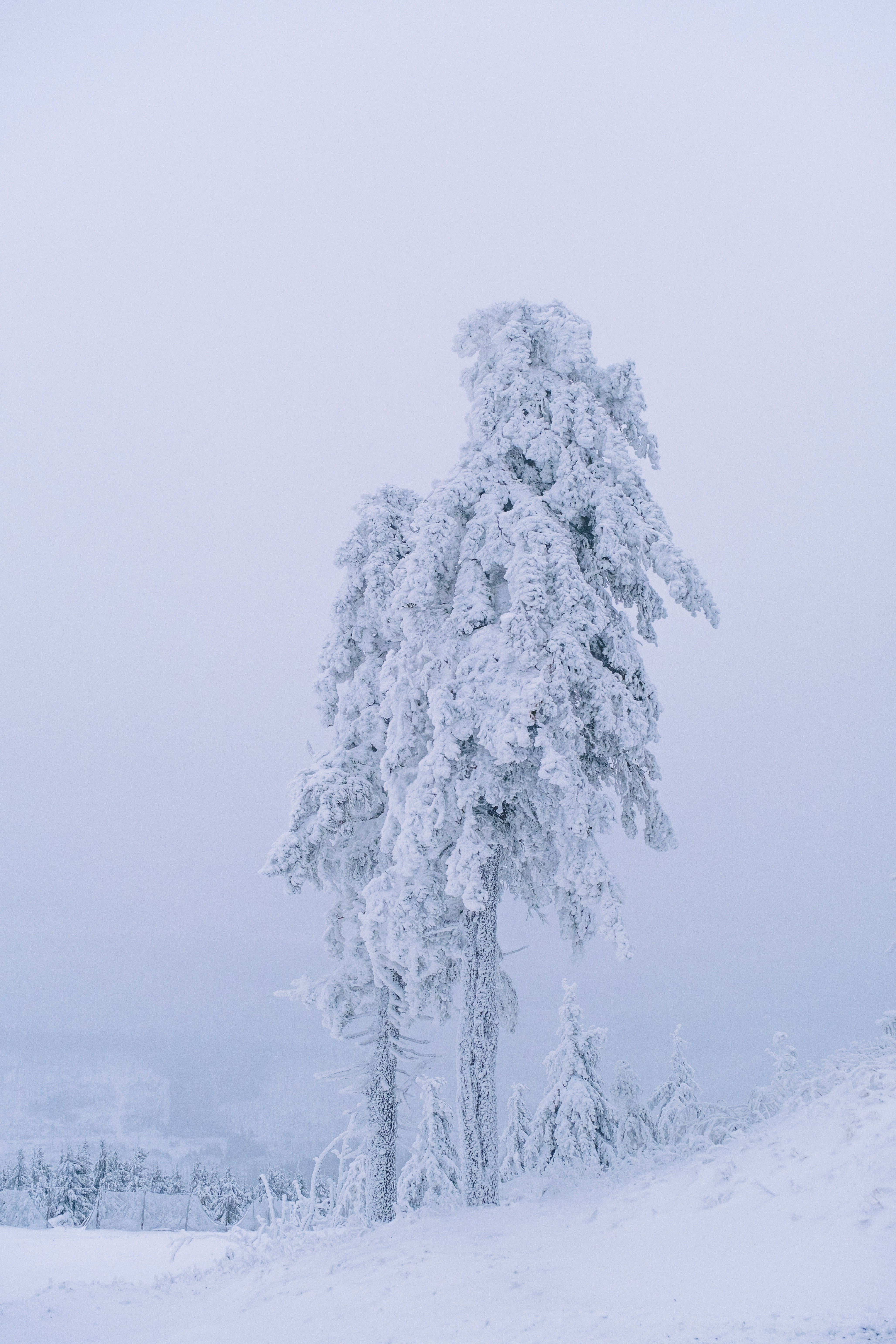 Photo by kevinmueller