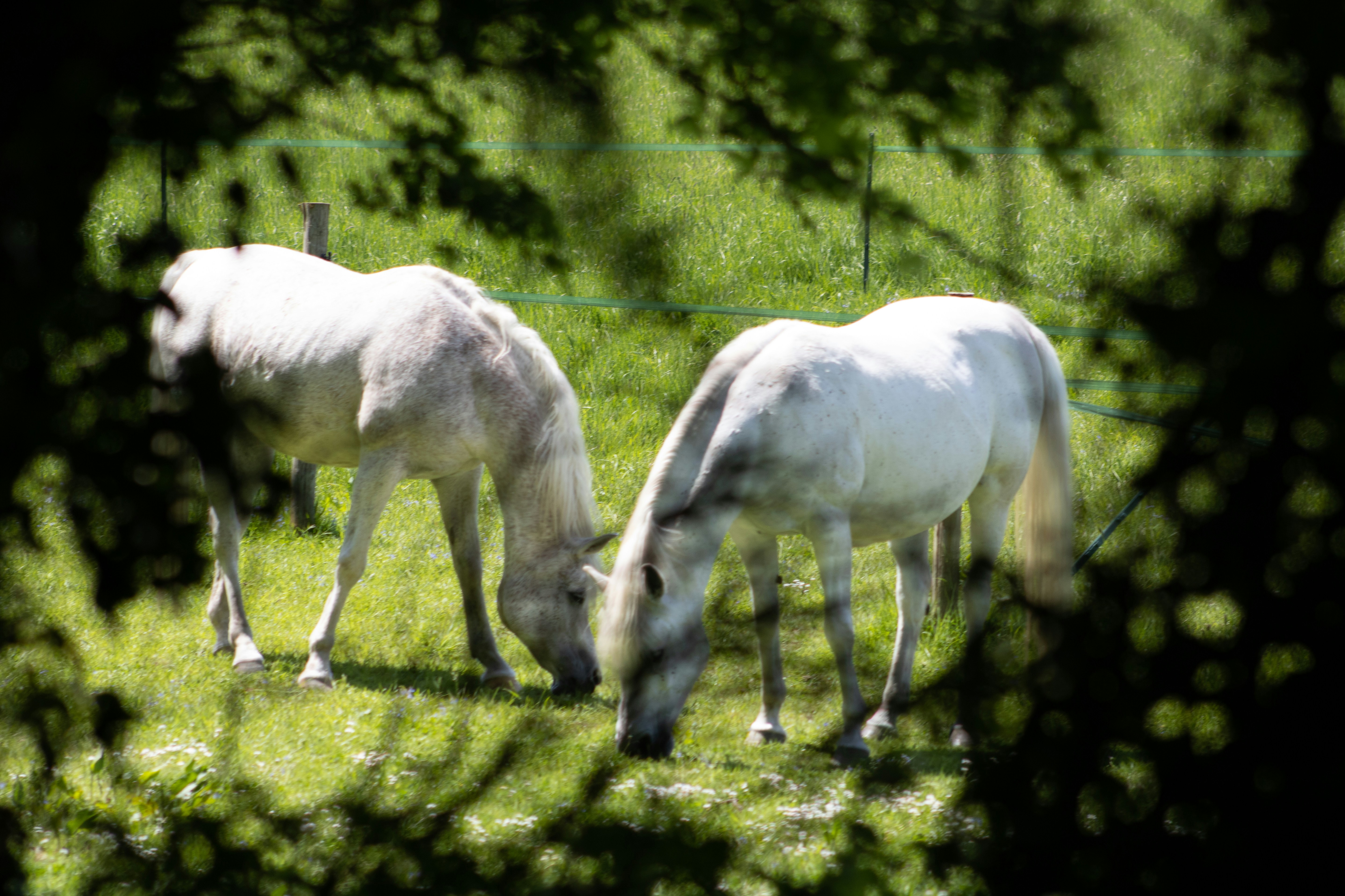 Photo by jbcphotography