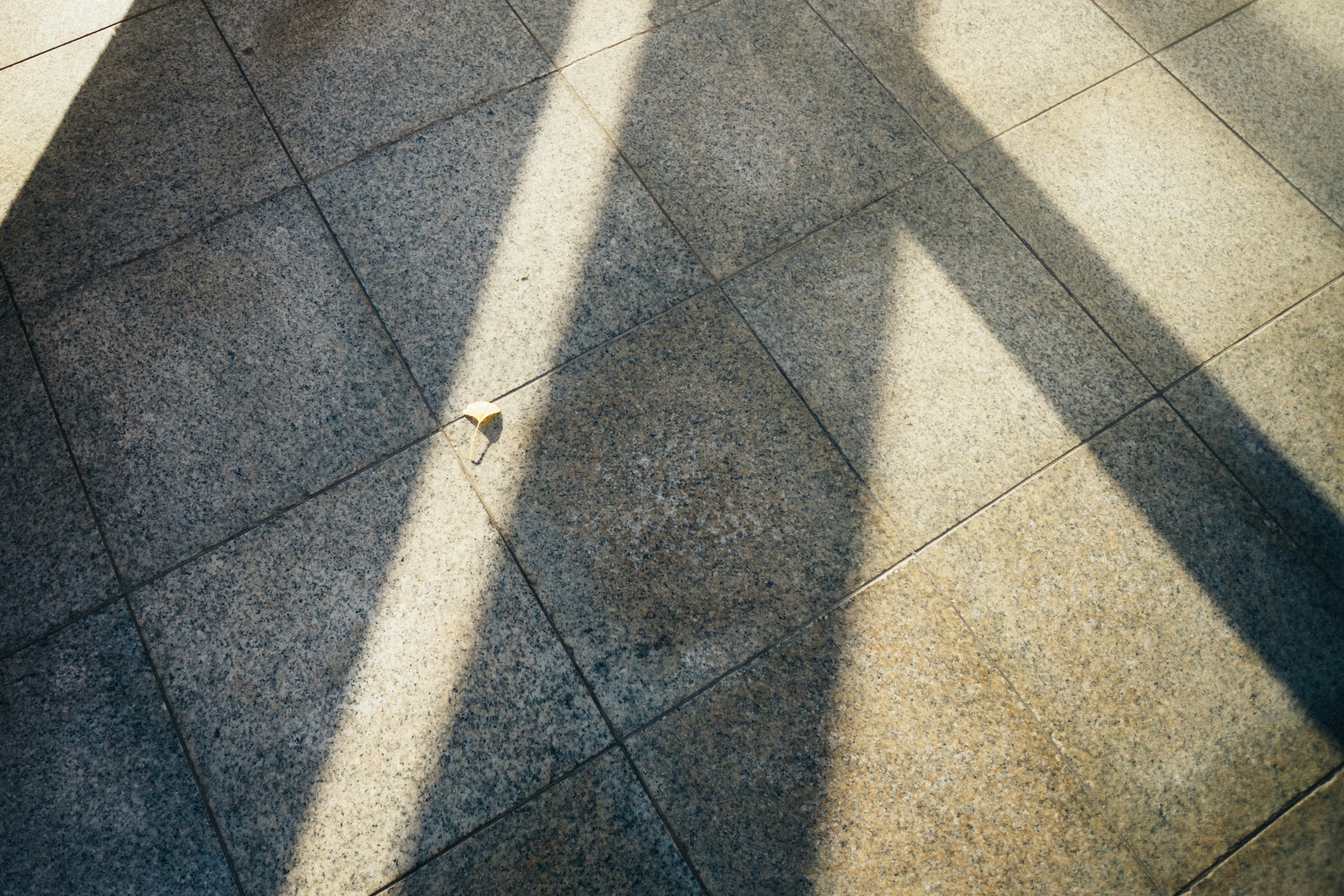 Photo by tsuyoshikozu