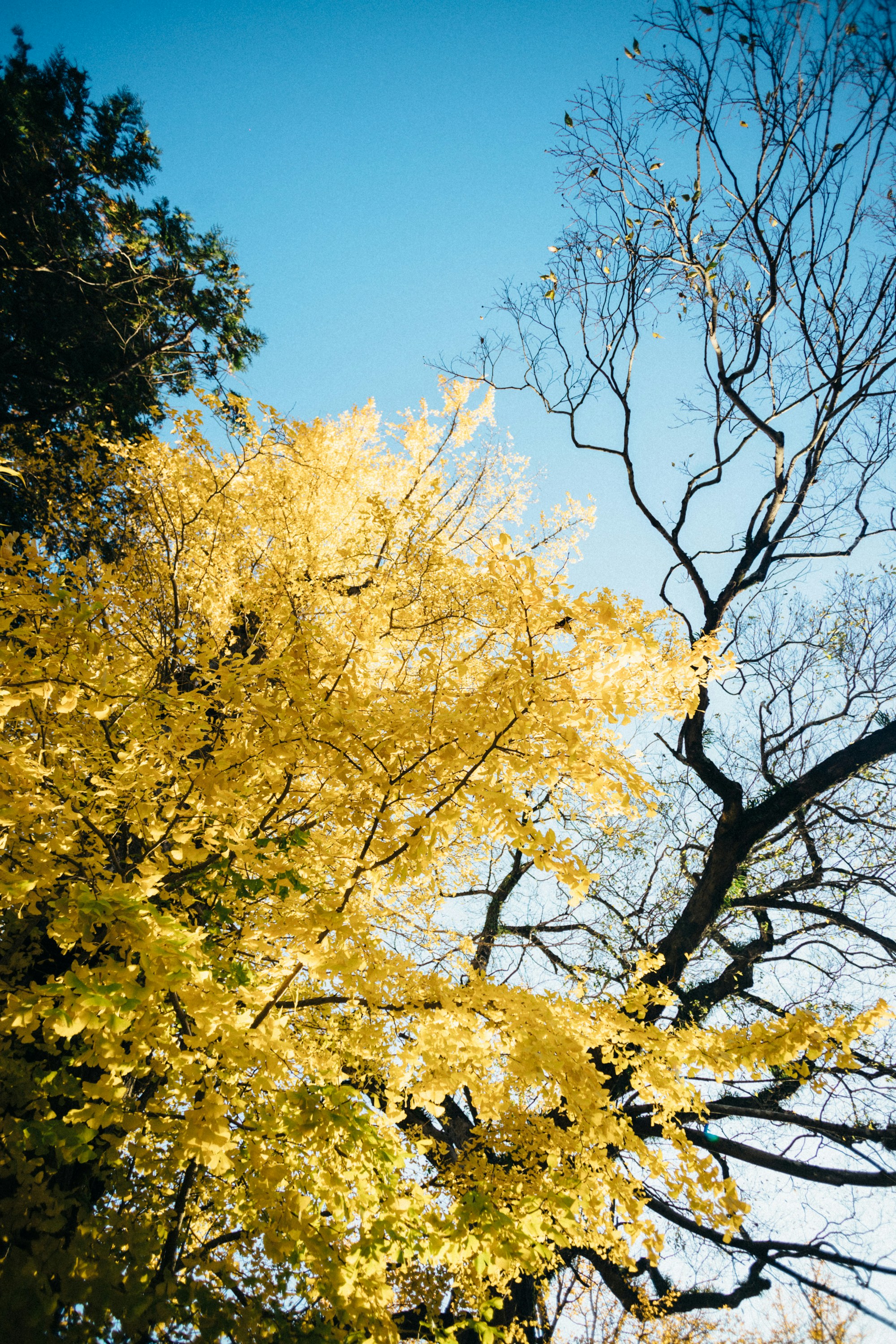 Photo by tsuyoshikozu