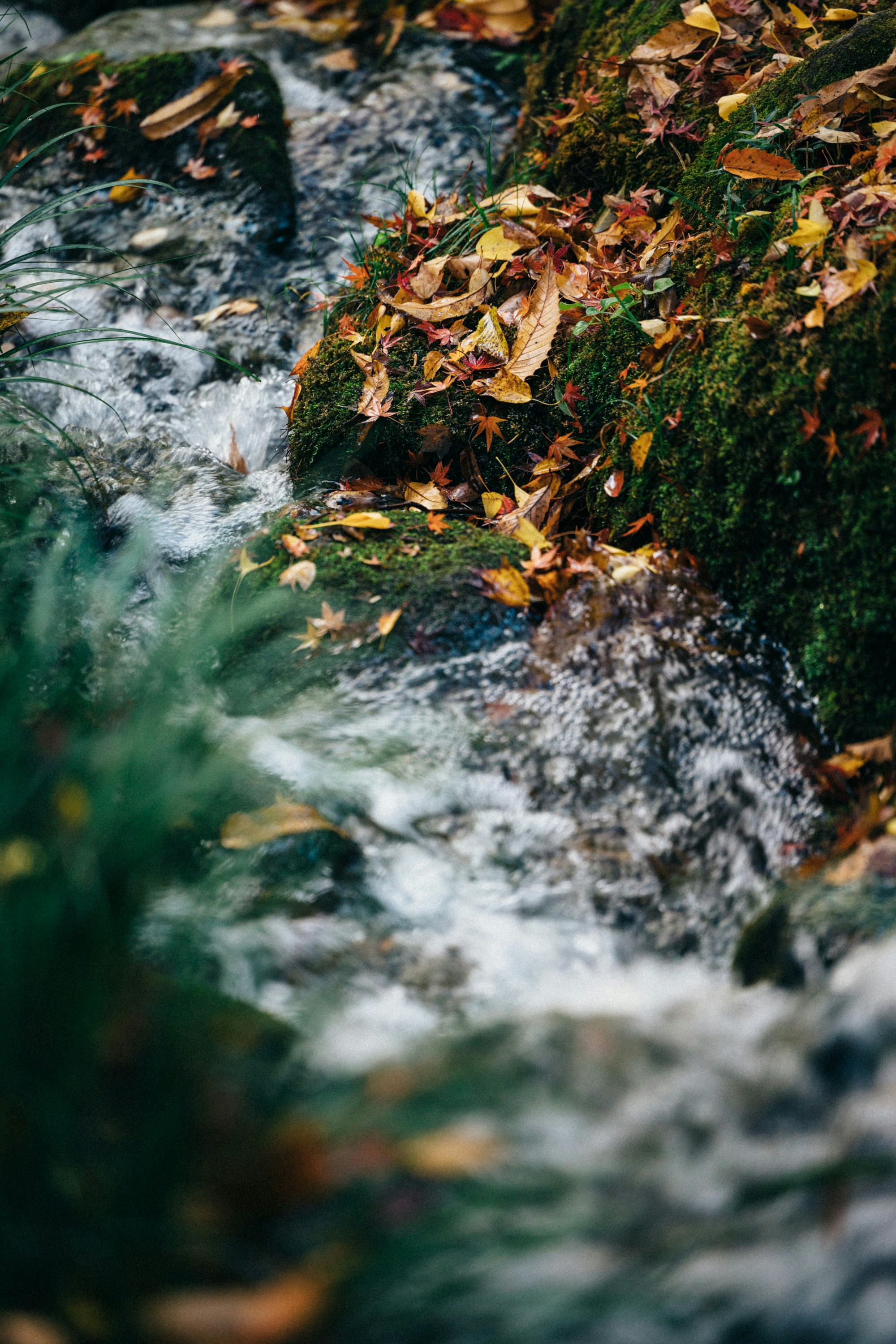 Photo by tsuyoshikozu