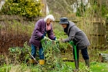 Two older adults are working together in a garden. They are wearing warm clothing and rubber boots, indicating a cool or damp day. One person is handing over freshly pulled plants to the other. The garden is lush with various plants and a wooden fence is visible in the background.