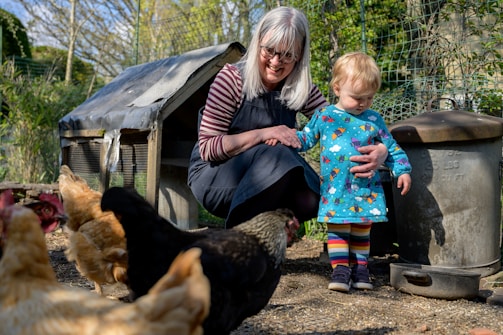 A person with long gray hair, wearing glasses and a dark apron, is crouching next to a small child dressed in a colorful outfit with rainbow-striped leggings. They are surrounded by several chickens in an outdoor setting, with a chicken coop and some metal containers in the background. There's a sense of warmth and care as the adult gently holds the child’s hand.