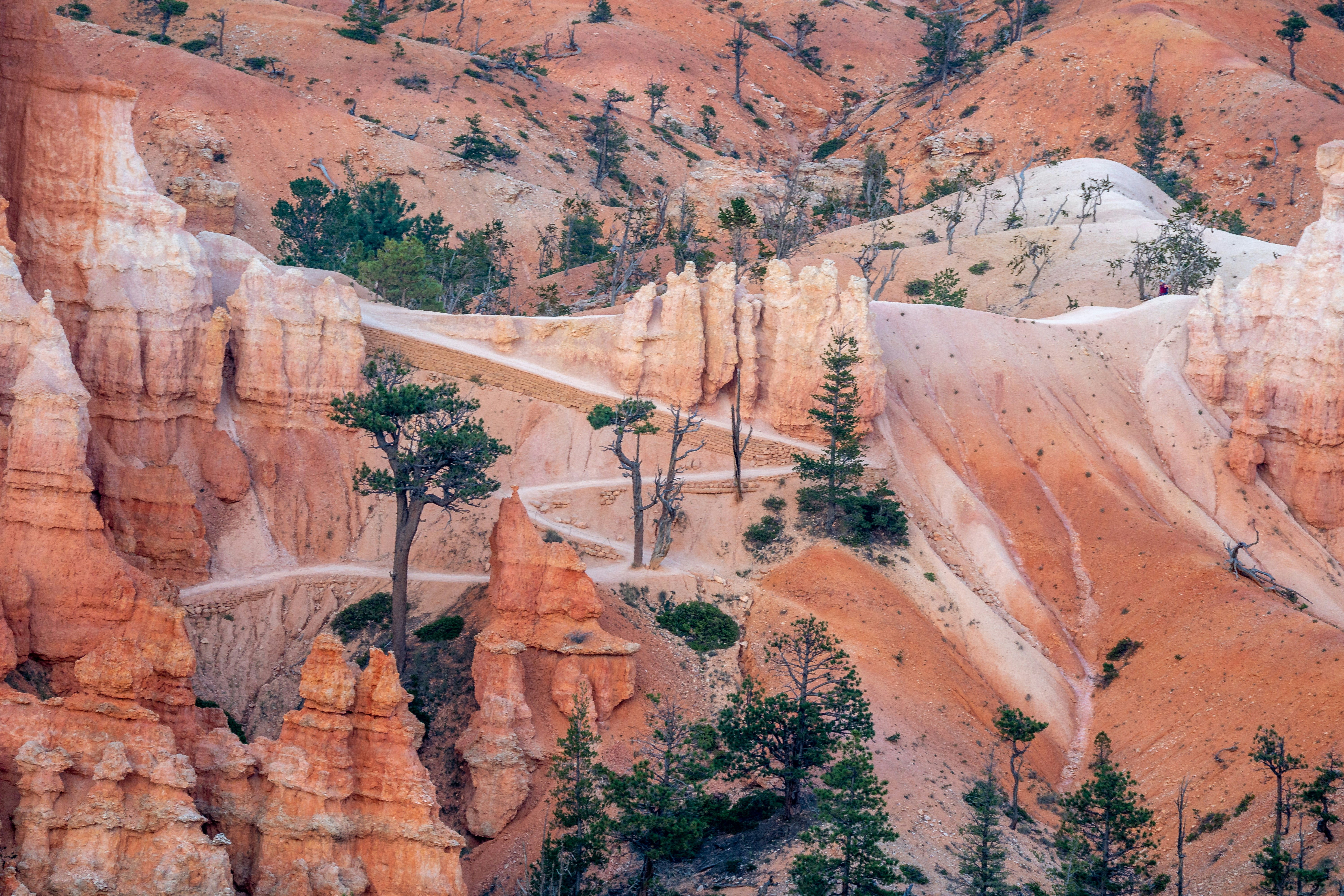 5 Top Ziplining Destinations for Road Trips in the USA