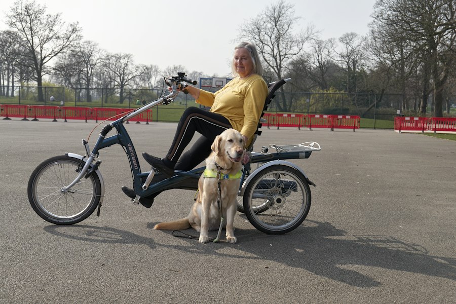 Trike Ổn Định Ba Điểm Tựa