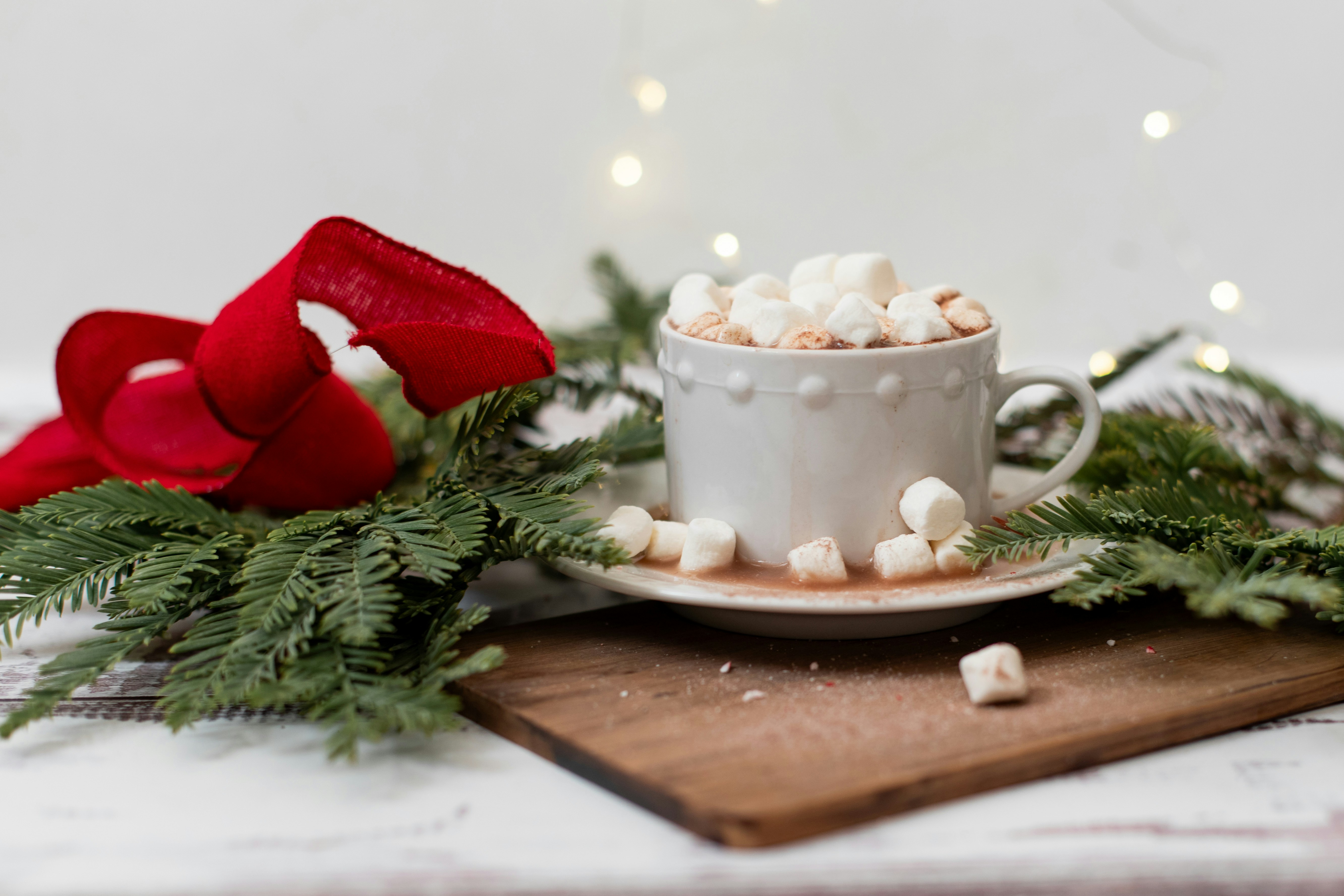 50 North, Senior Activity Event: Hot Cocoa