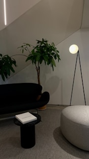 A modern interior space features a black sofa and a grey ottoman on a textured carpet. A sleek floor lamp with a spherical light adds to the ambient lighting. A tall, leafy green plant stands beside the sofa, adding natural elements to the decor. A small black side table holds a closed book titled 'Hoffman'.