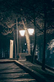 An eerie deserted street illuminated by flickering street lamps, hinting at unseen presences.